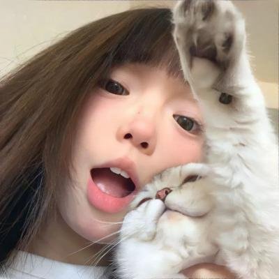 蓝色档案 在线观看
